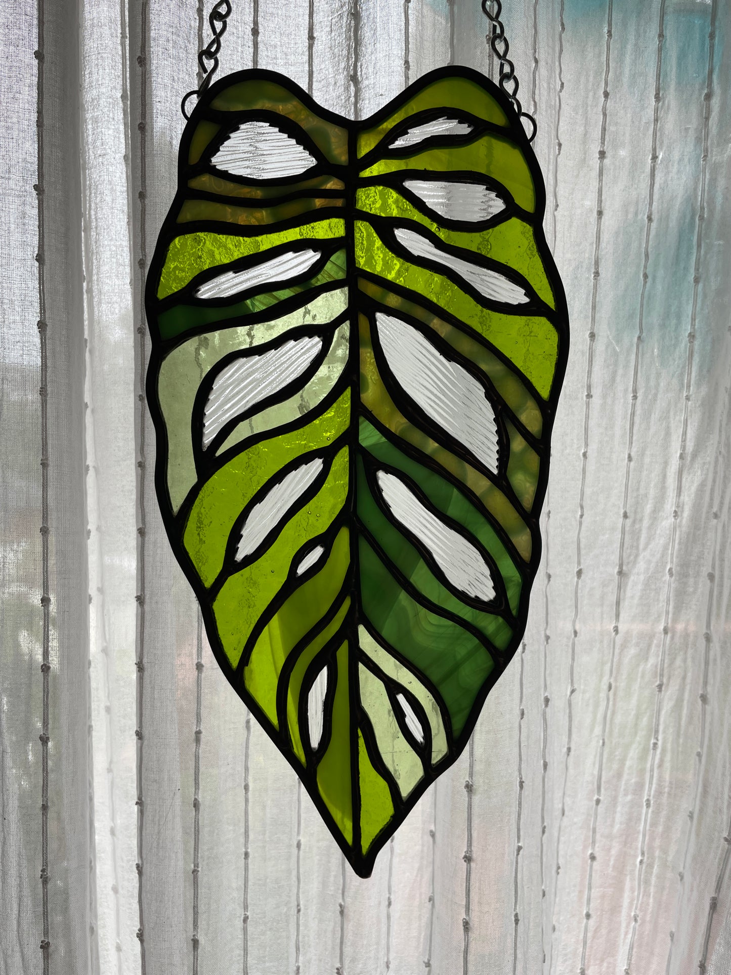 Variegated Monstera Leaf