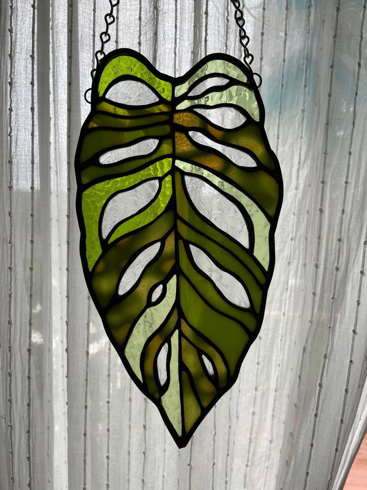 Variegated Monstera Leaf